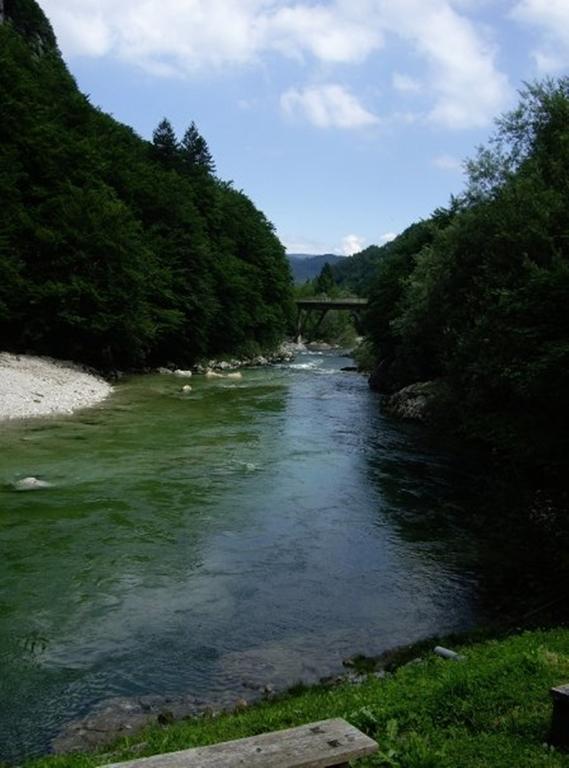 Reka Hisa River Side Lodge Bohinjska Bela Exterior photo